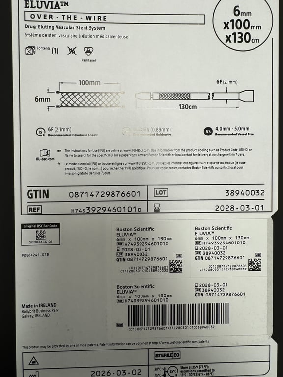 H74939294601010 - Drug-Eluting Vascular Stent System