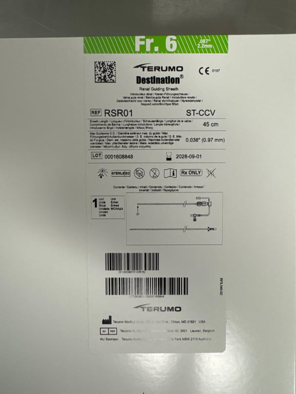 RSR01 - DESTINATION Renal Guiding Sheath