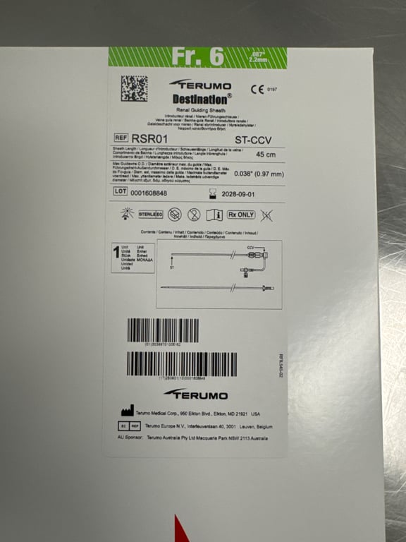 RSR01 - DESTINATION Renal Guiding Sheath