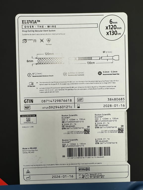H74939294601210 - Drug-Eluting Vascular Stent System