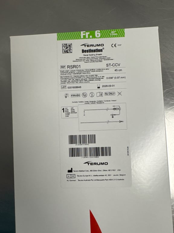 RSR01 - DESTINATION Renal Guiding Sheath